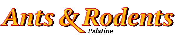 Palatine Ant Exterminator & Rodent Control Company Logo